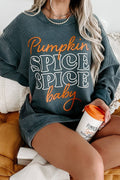 Autumn/Fall Pumpkin "Spice Spice Baby" Graphic Textured Sweatshirt: Dark Grey - Small - 2X